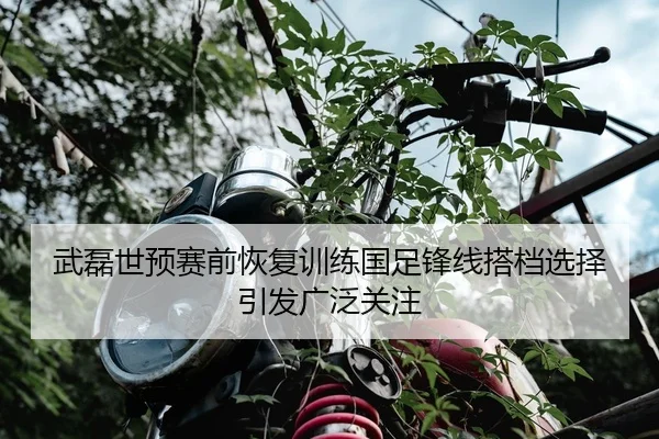 武磊世预赛前恢复训练国足锋线搭档选择引发广泛关注